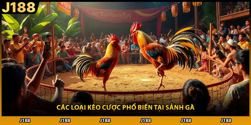Các loại kèo cược phổ biến tại sảnh gà