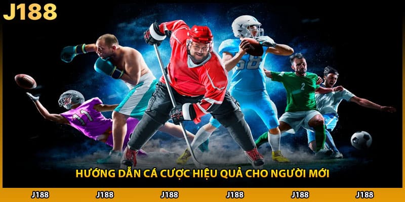 Hướng dẫn cá cược hiệu quả cho người mới